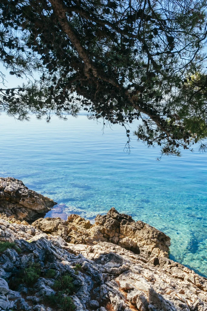 Luxury villa with private pool in Ližnjan, Istria